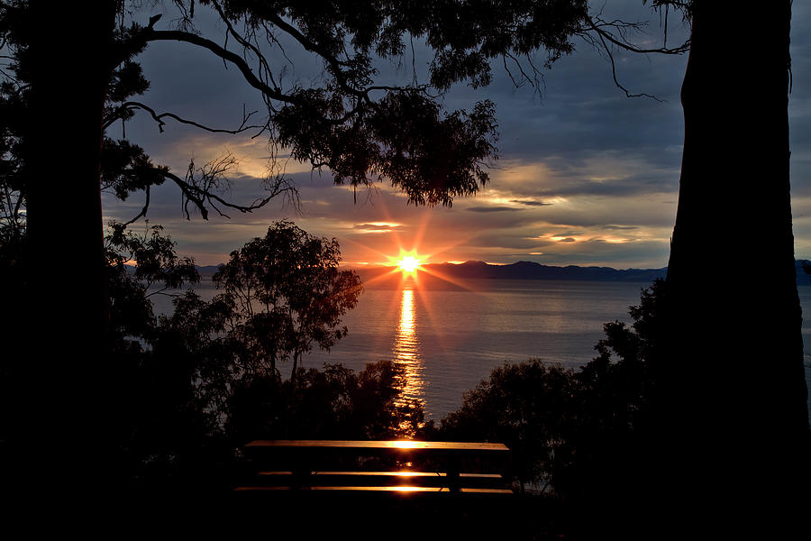 Nelson New Zealand sunrise Photograph by Mark Duffy