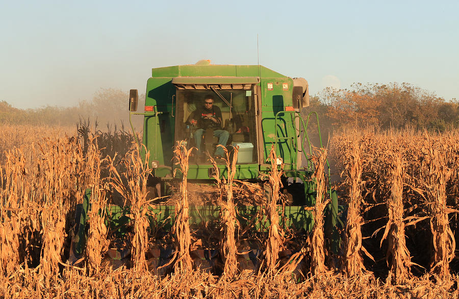 Nemaha Nebraska Corn Picker Photograph by J Laughlin