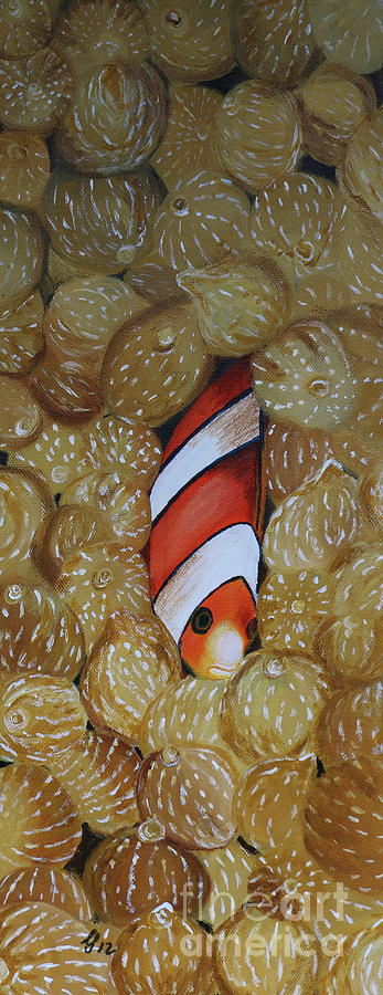 Nemo Hiding - Orange Clownfish Painting by Christiane Schulze Art And Photography
