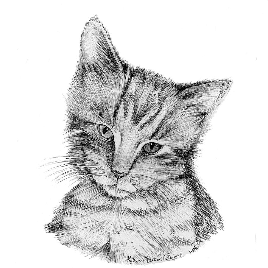 Nemo the Cat Drawing by Robin Martin Parrish