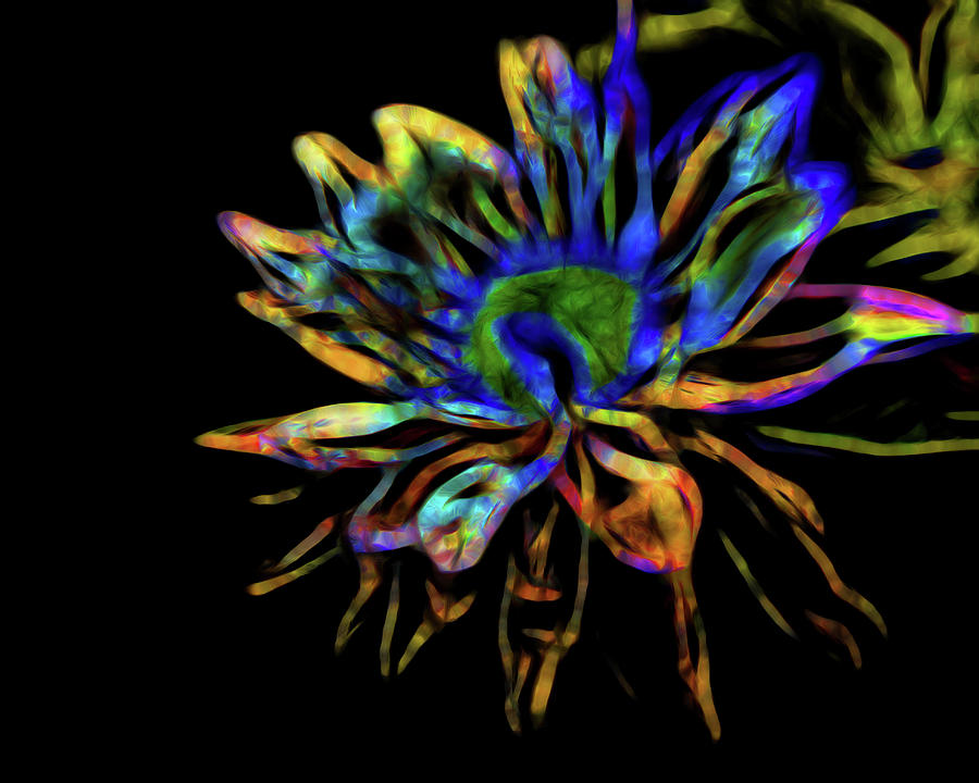 Neon Abstract Lily Digital Art by Judy Vincent