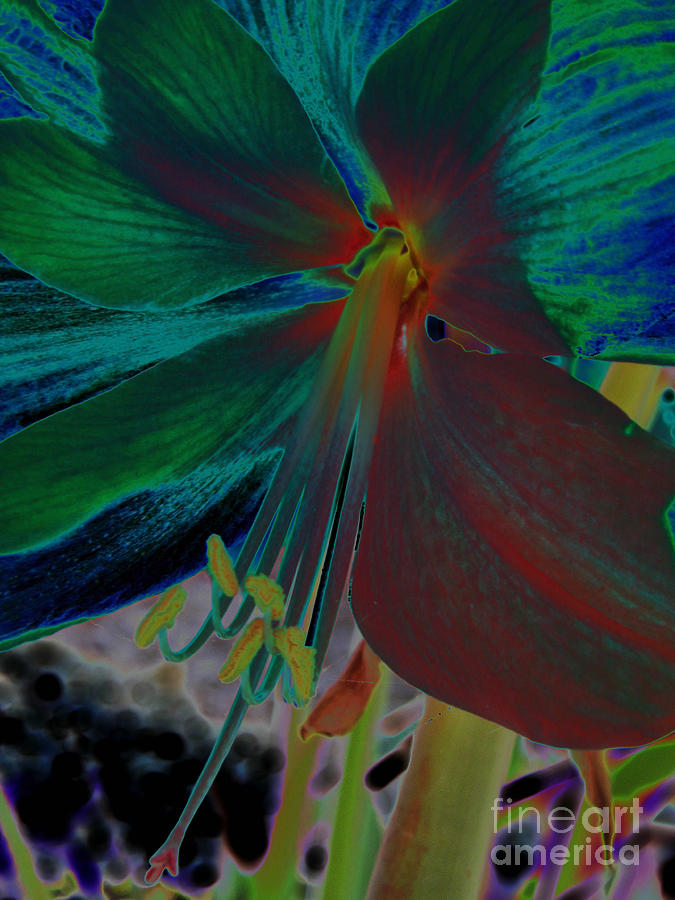 Neon Amaryllis Digital Art by D Hackett