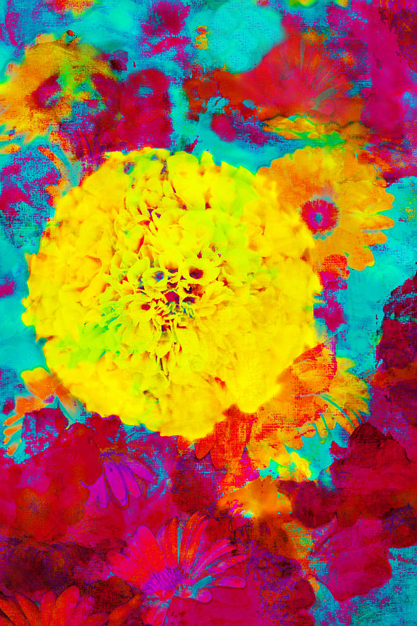 Neon Bright Contemporary Abstract Chrysanthemum And Abstract Flowers  Photograph by Suzanne Powers