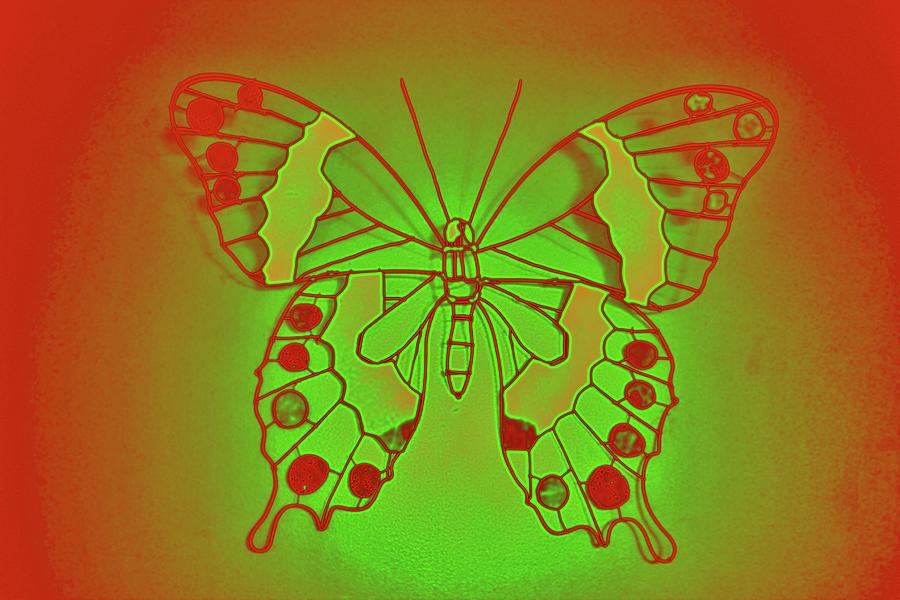 Butterfly Photograph - Neon Butterfly by Cynthia Guinn