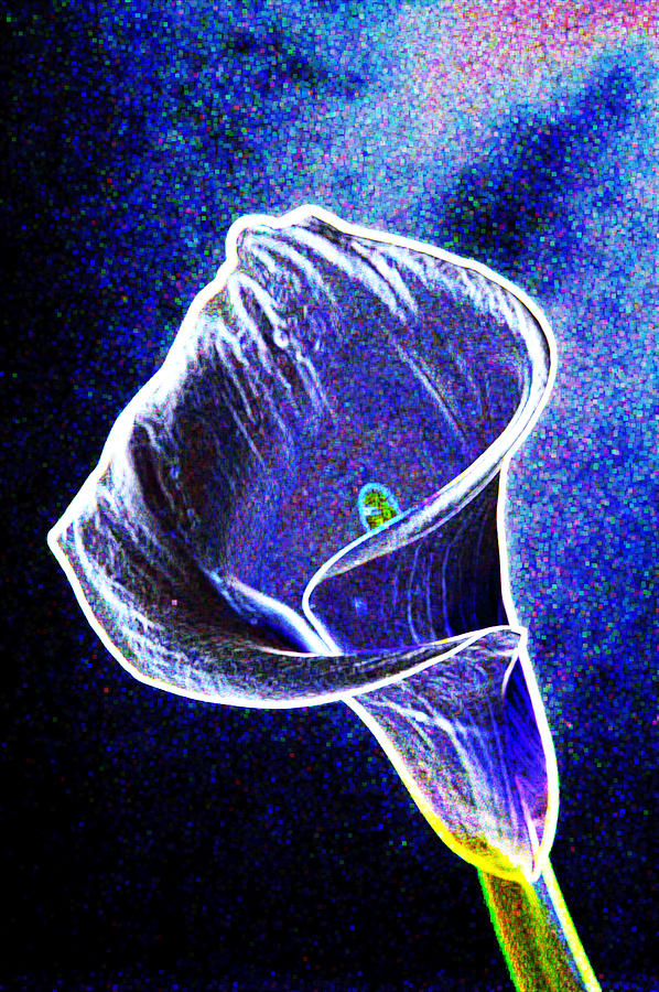 neon Calla lilly Photograph by Gary Brandes