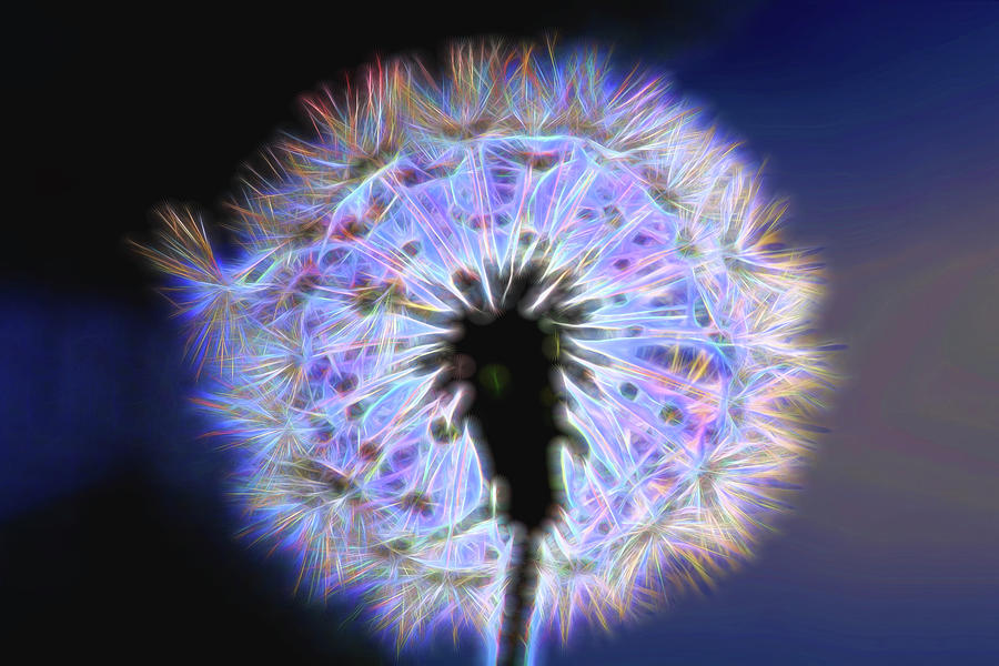 Neon Dandelion Fire Photograph by Kay Brewer
