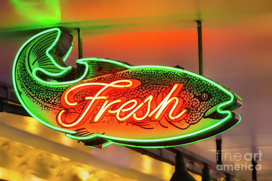 Neon Fish Photograph by Jerry Fornarotto