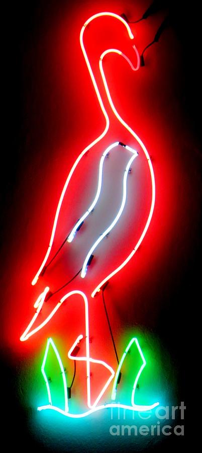 Neon Flamingo Photograph by Tim Townsend