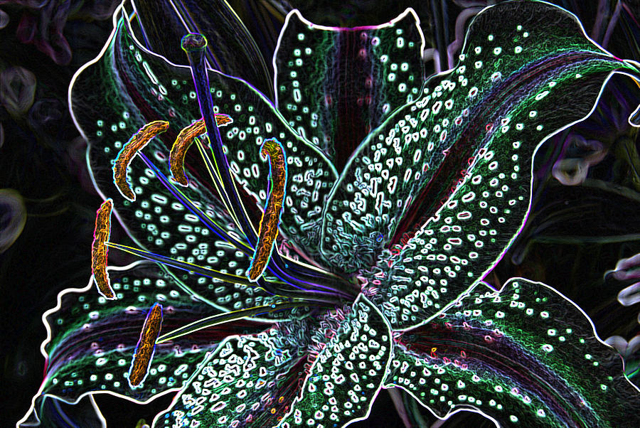 Neon Lily Digital Art by Wendy Wilton