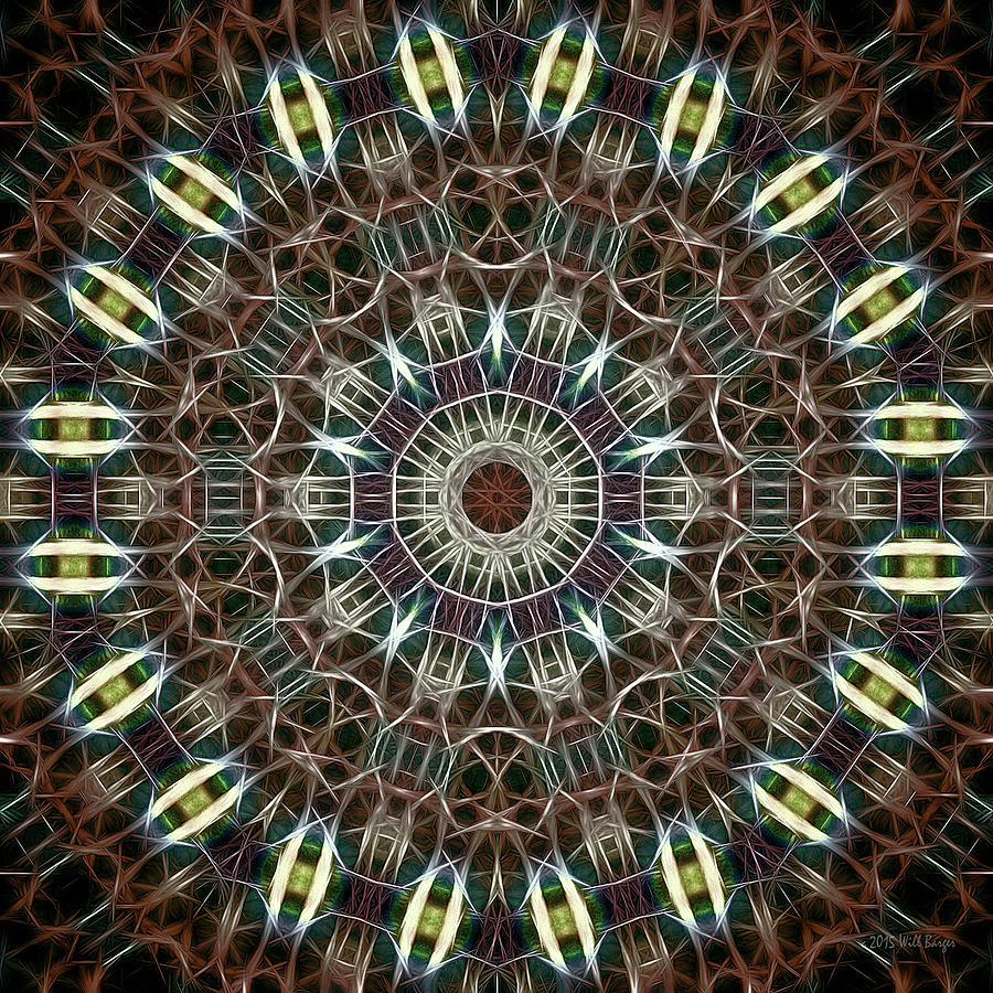 Neon Mandala, Nbr 19D Painting by Will Barger