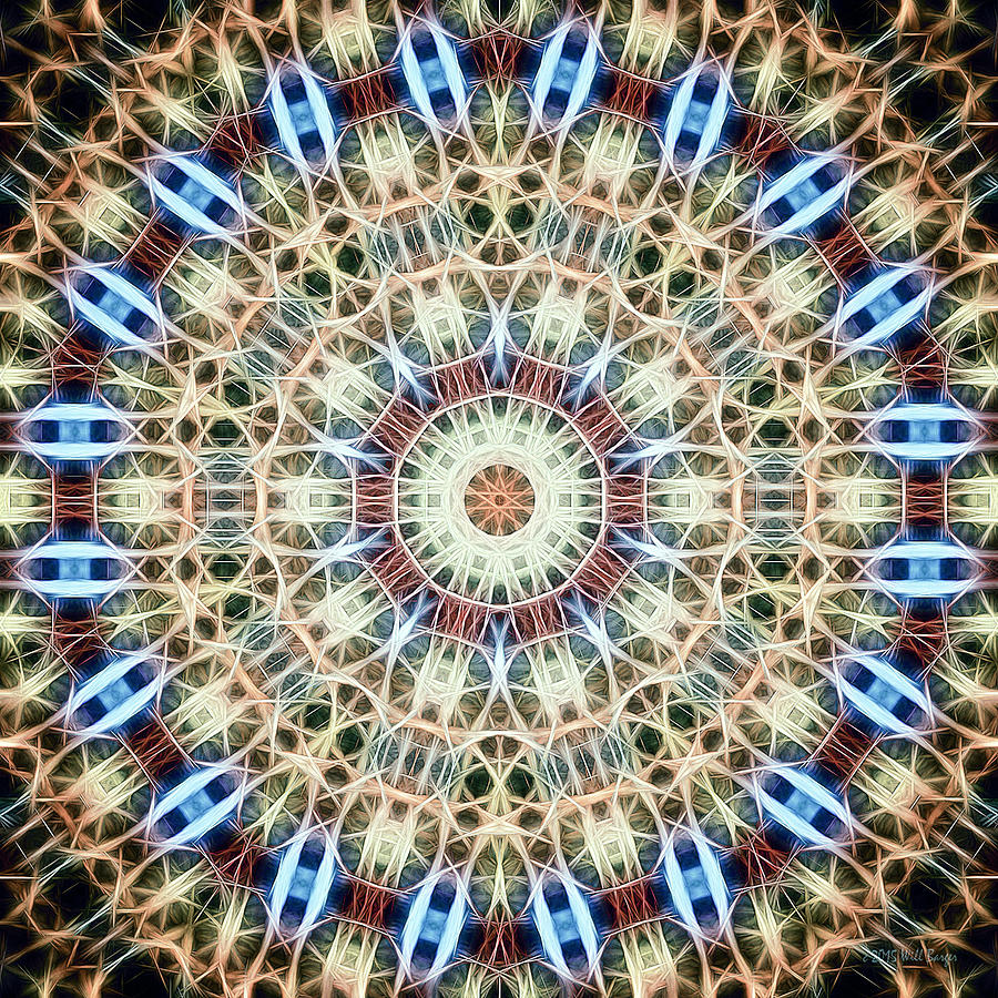 Neon Mandala, Nbr 20B Digital Art by Will Barger