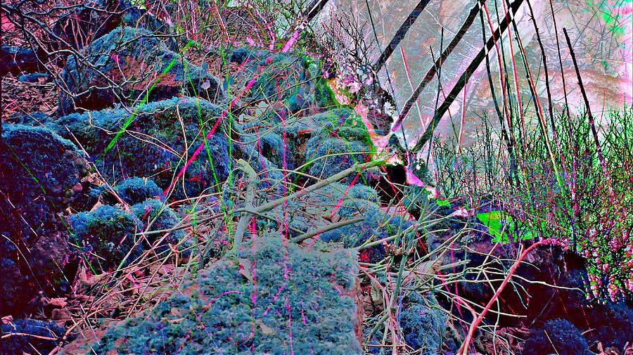 Neon Nature Photograph Joanne Elizabeth