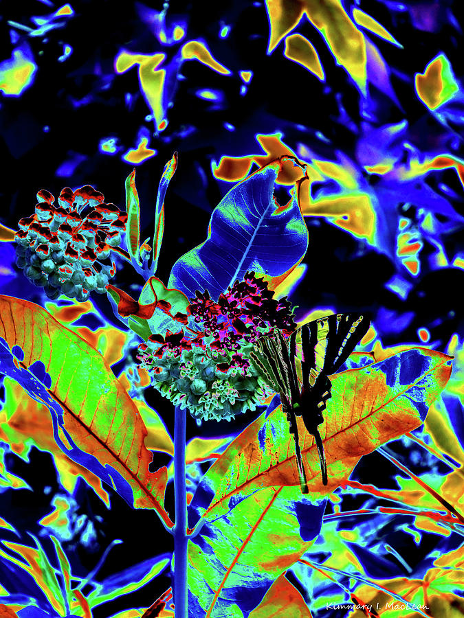 Neon Nature Digital Art by Kimmary MacLean