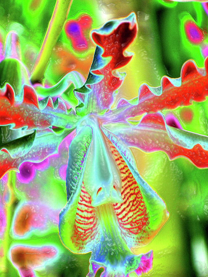 Neon Orchid Photograph by Sammy Woodruff - Pixels