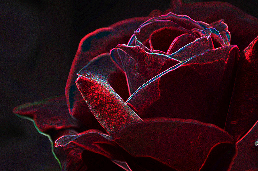 Neon Rose Photograph by Lesa Fine