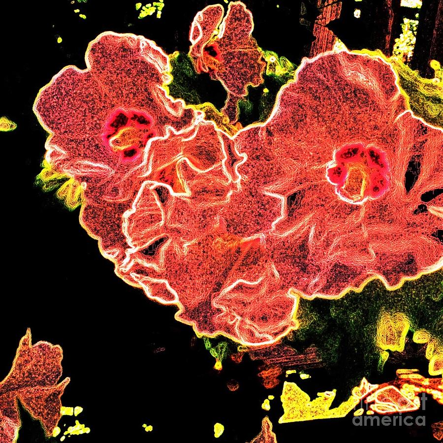 Abstract Photograph - Neon Rose Of Sharon Abstract by Debra Lynch