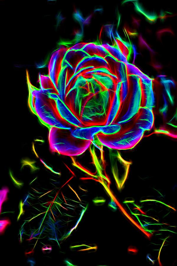 Neon Rose Photograph by Roxanne Jones - Fine Art America