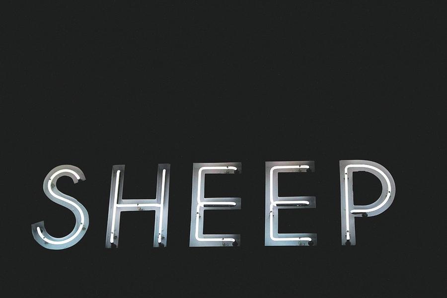 Neon Sheep Photograph by Billy Soden Fine Art America