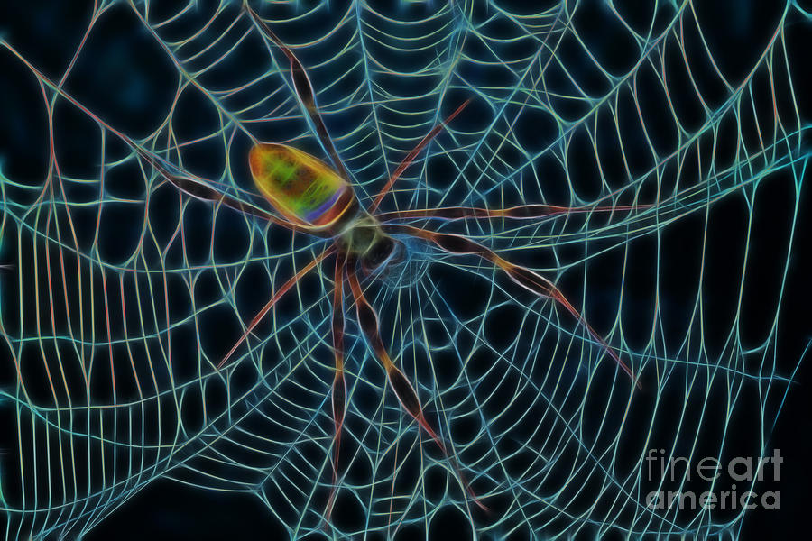 Magic Digital Art - Neon Spider Night by D Hackett