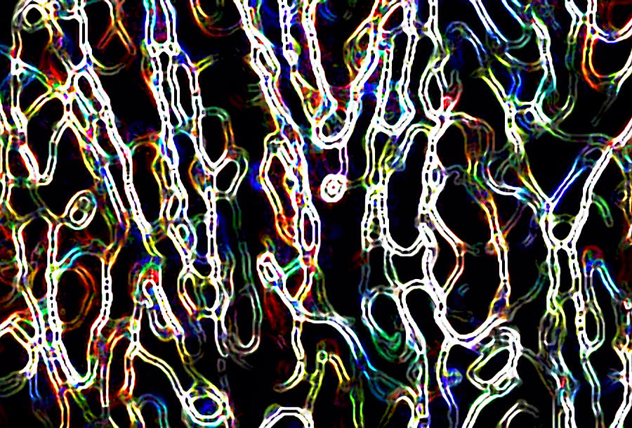 Neon Sponge by AJP Neon Sponge by AJP