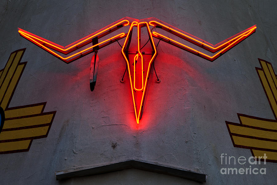 Neon Steer Photograph by Rick Pisio