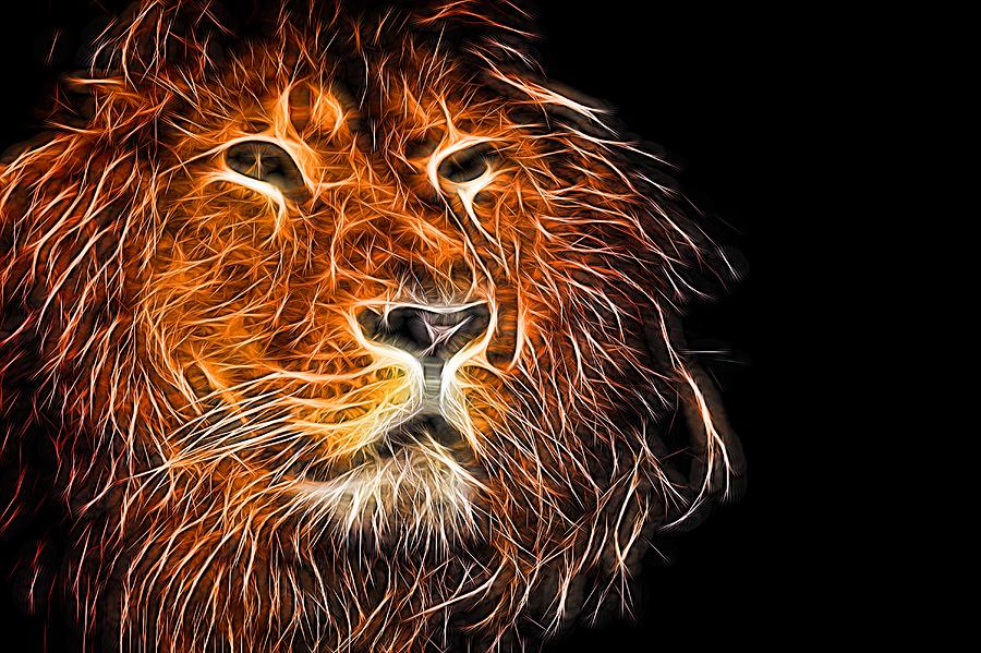 Neon Strong Proud Lion on Black Photograph by John Williams