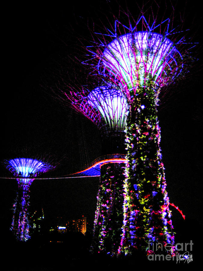 Neon Treescape Photograph