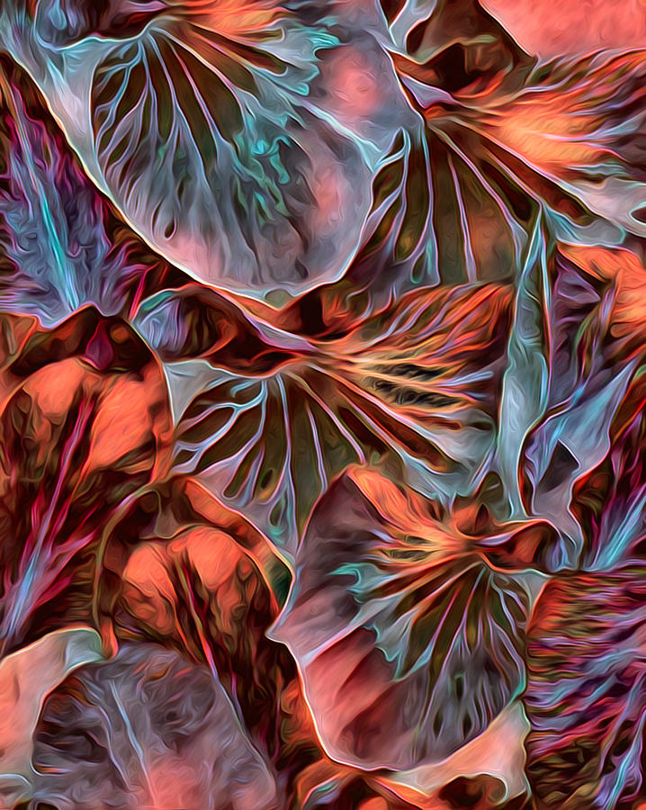 Neotropism 2 by Lynda Lehmann Neotropism 2 by Lynda Lehmann