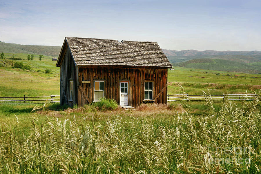 Nephi Moss Cabin Photograph by Roxie Crouch