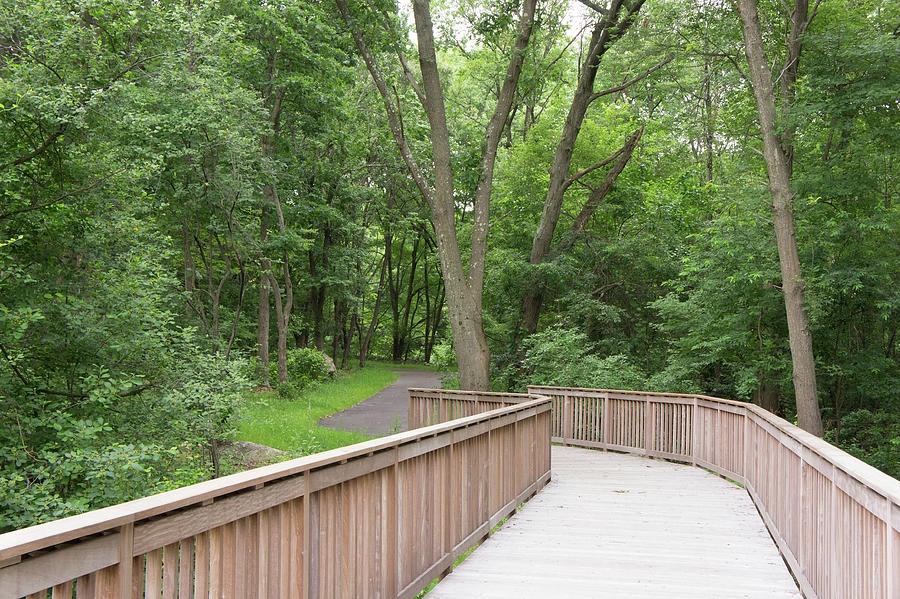 neponset bike trail