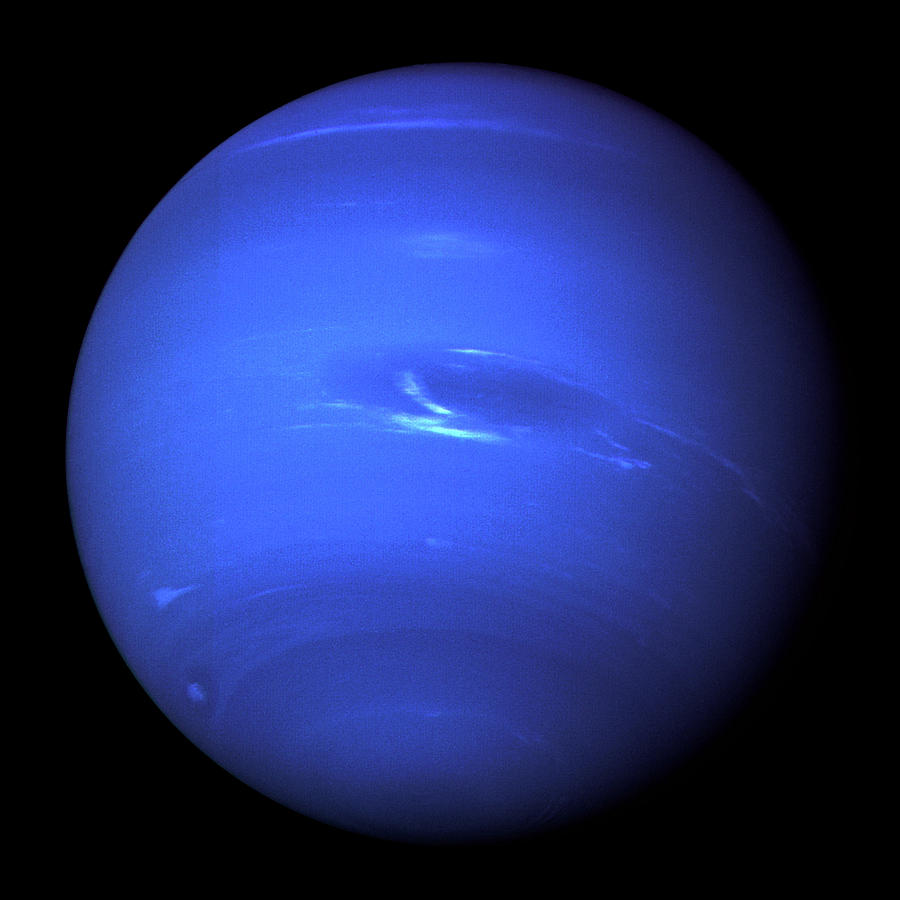 Neptune Full Photograph by NASA and JPL