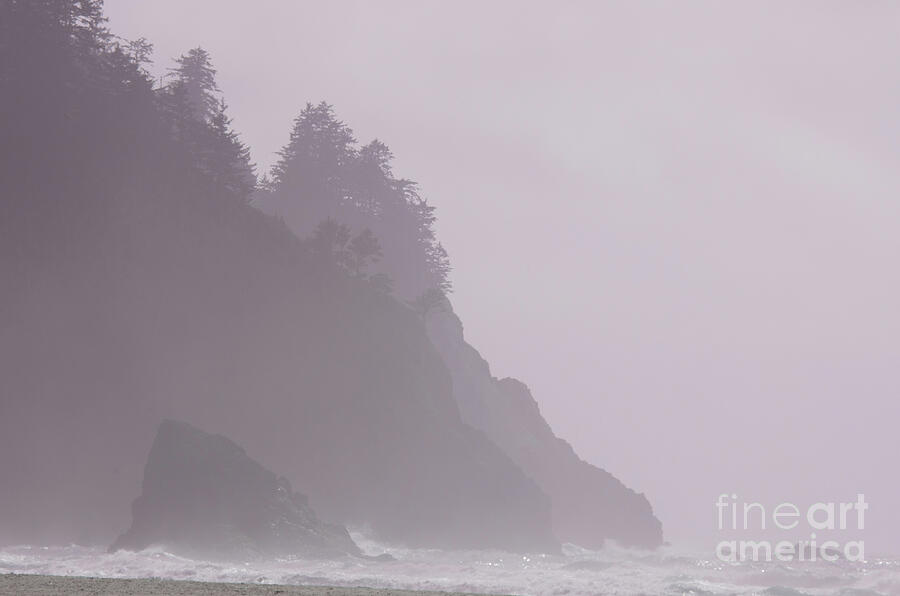 Neskowin Beach Rosy Sea Fog Photograph by Rick Bures