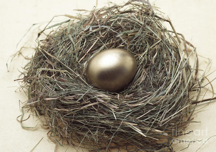 Still Life Photograph - Nest With Golden Egg by Gerard Lacz