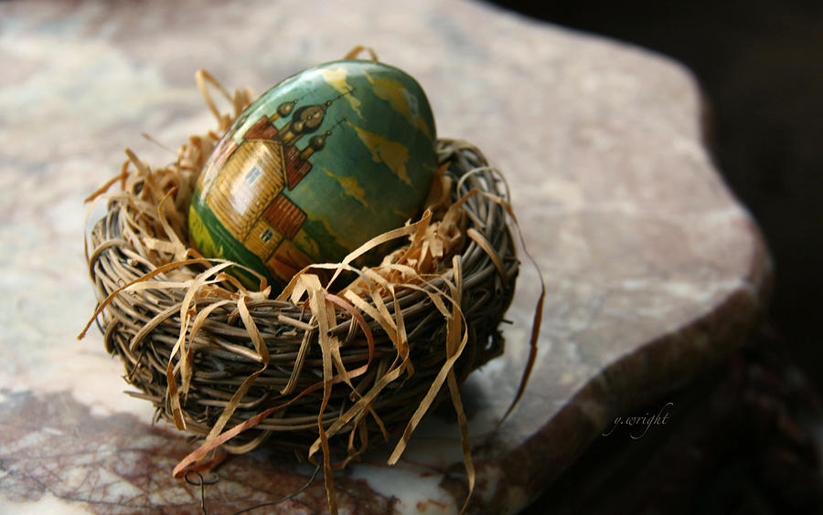 Nested Egg Photograph by Yvonne Wright