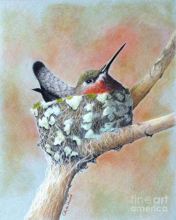 Nesting Anna Drawing by Phyllis Howard