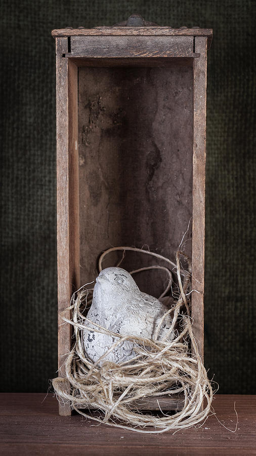 Still Life Photograph - Nesting Bird Still Life by Tom Mc Nemar