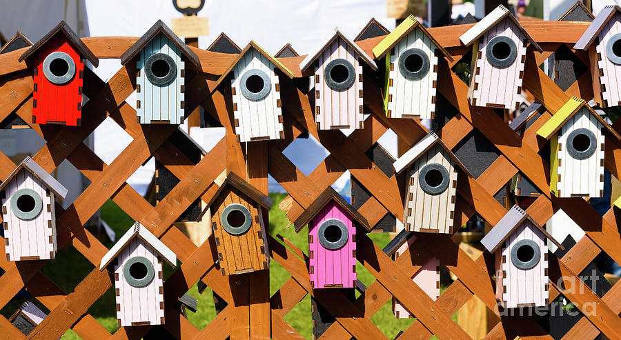 Nesting boxes Photograph by Colin Rayner