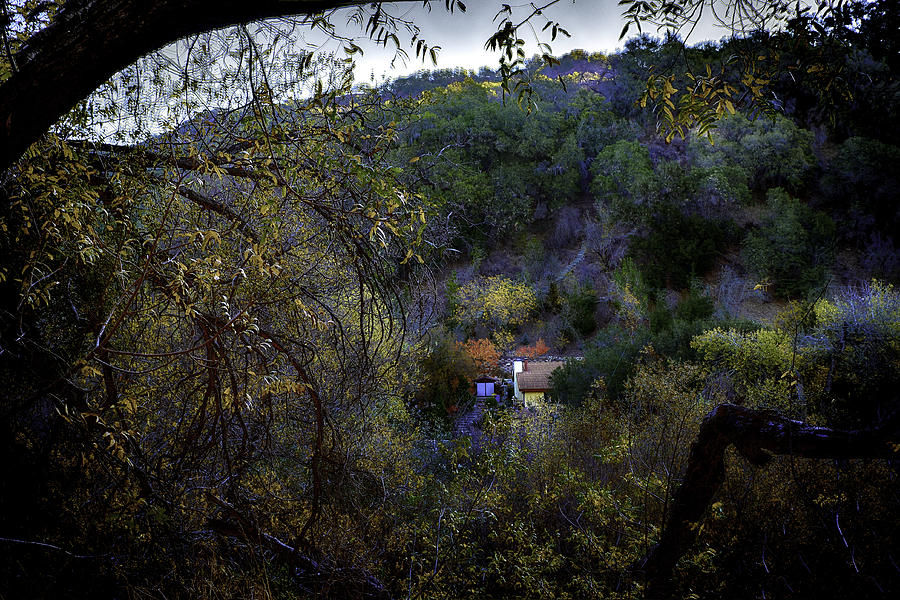 Nestled In Nature Photograph by Joseph Hollingsworth