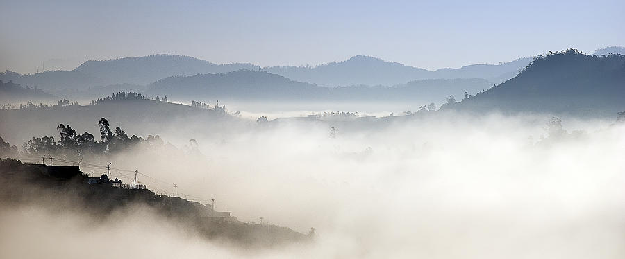 Nestling Photograph by Vikram Franklin - Fine Art America