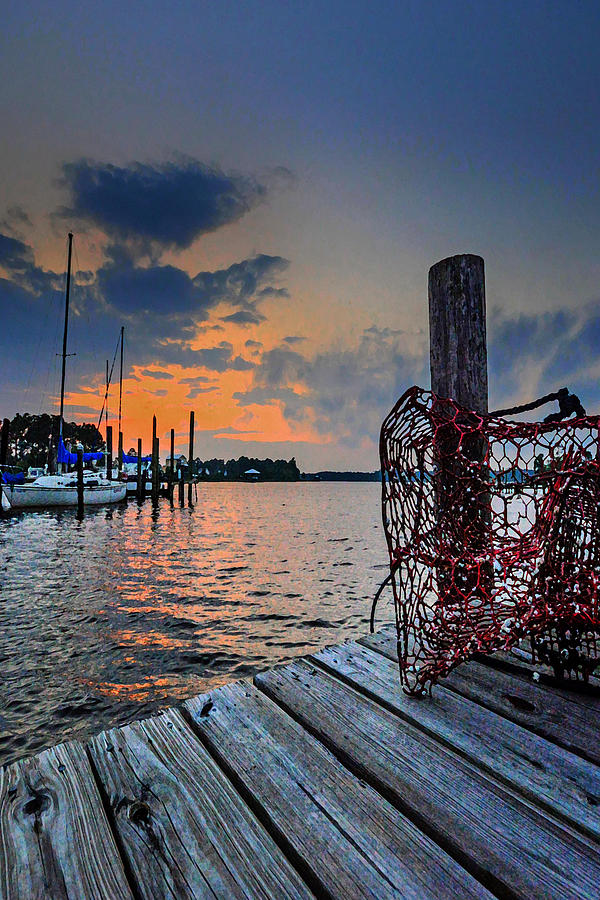 Michael Thomas Photograph - Net on the Dock vertical by Michael Thomas