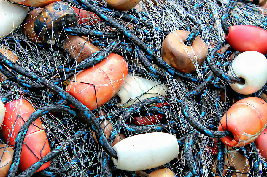Nets with Orange and White Buoys Photograph by Lynn Jordan