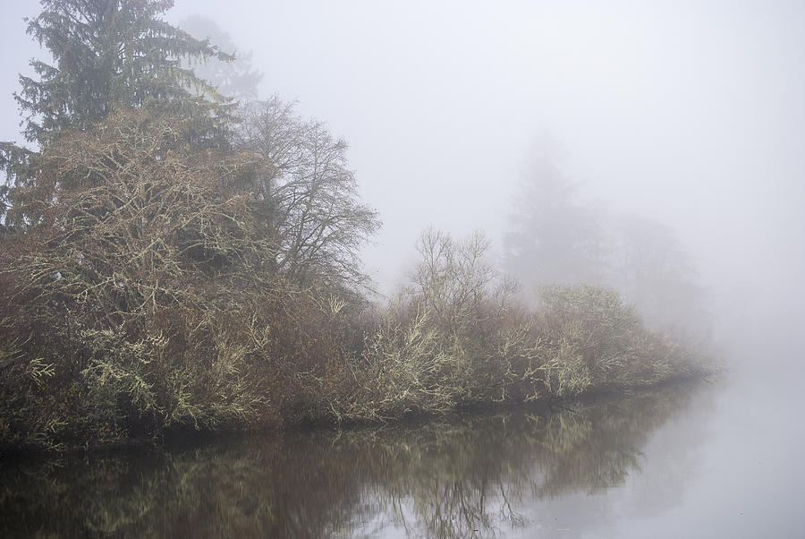 Netul River Fog Photograph by Robert Potts
