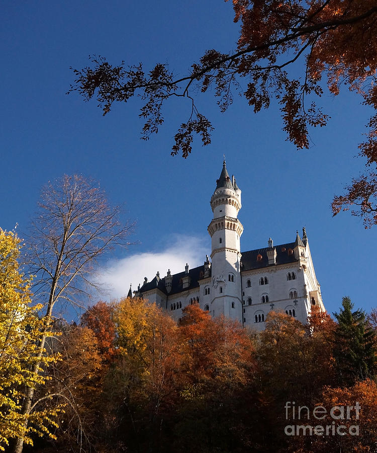 Neuschwanstein Castle Bavaria in autumn 3 Photograph by Rudi Prott