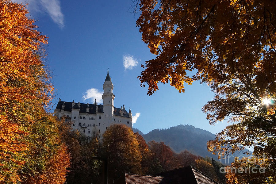 Neuschwanstein Castle Bavaria in autumn 4 Photograph by Rudi Prott