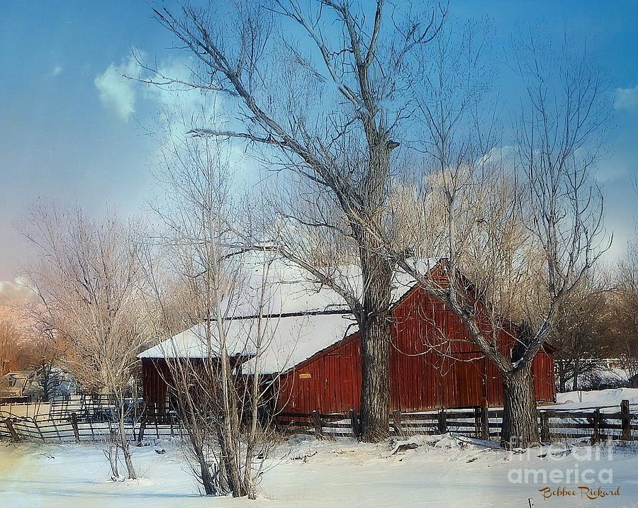 Winter Photograph - Nevada Barn in the Winter in Color by Bobbee Rickard