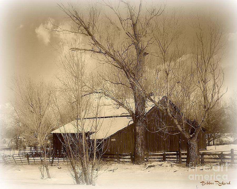Winter Photograph - Nevada Barn in the Winter Sepia Tones by Bobbee Rickard