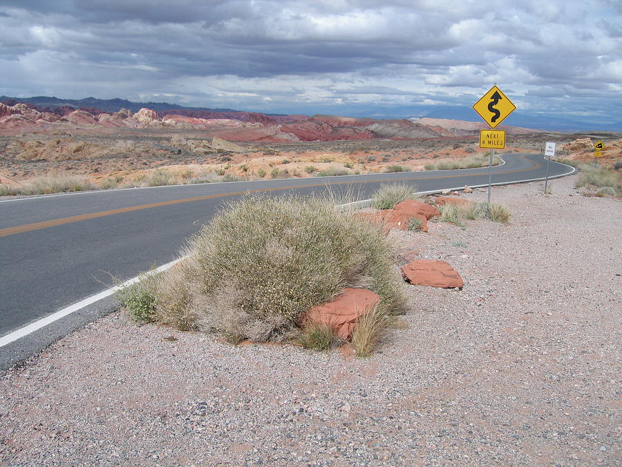 Nevada Desert Highway Photograph by Ira Marcus