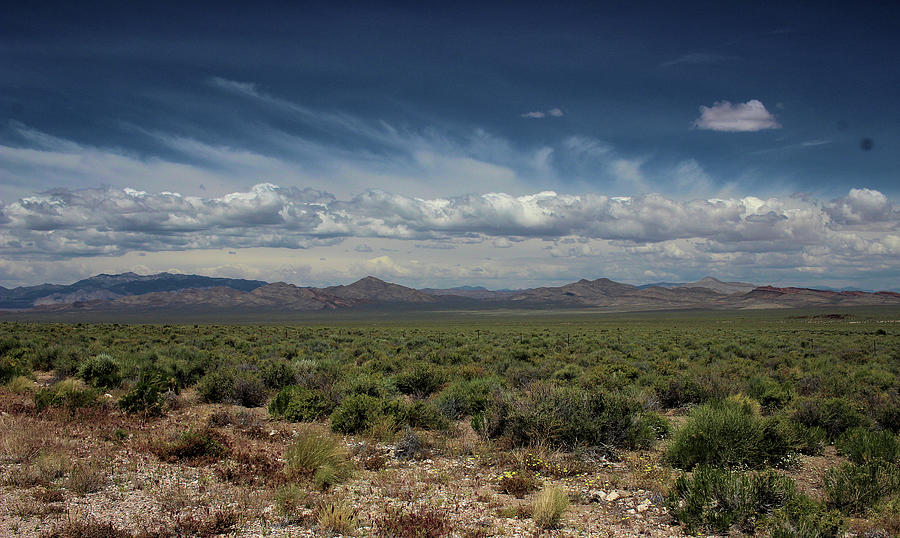 Nevada Desert Photograph by Scott Carlton