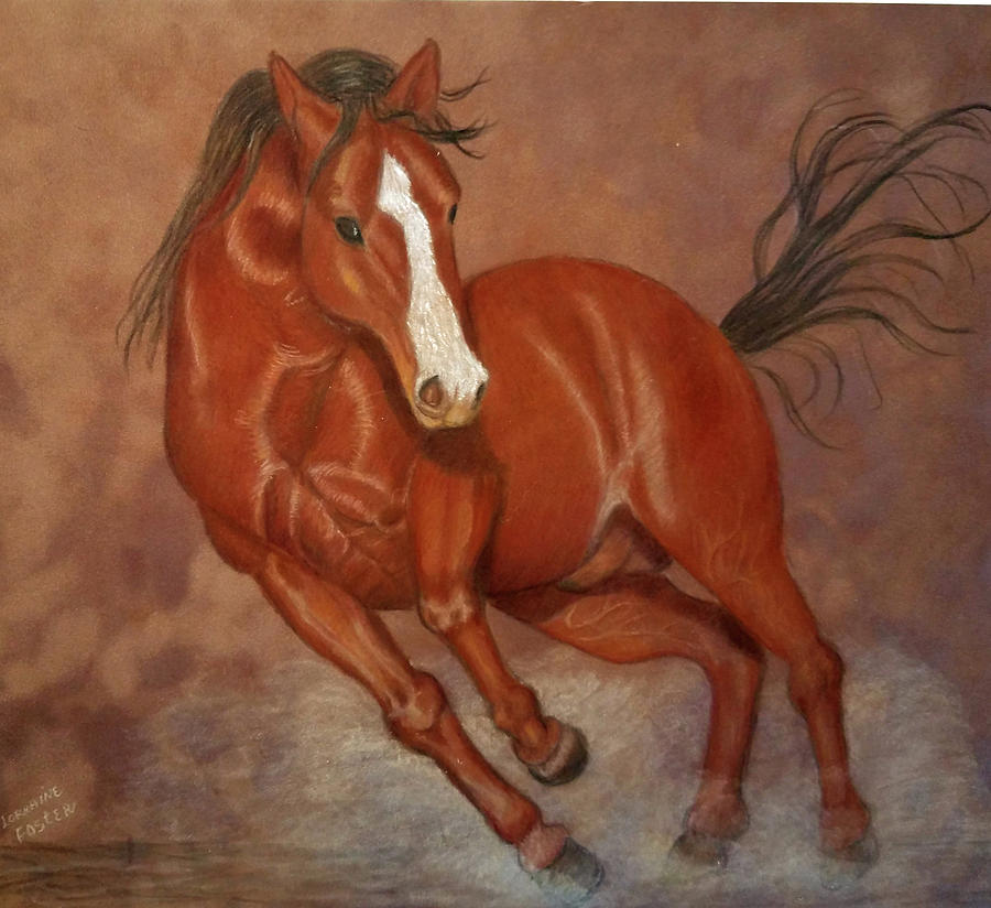 Nevada Mustang Drawing by Lorraine Foster