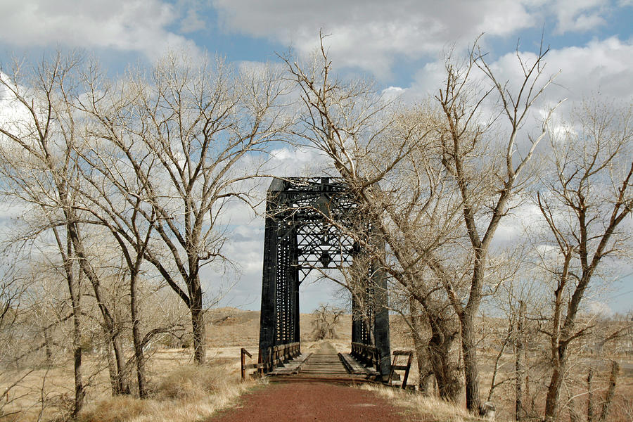 Nevada Railroad Bridge Photograph by Suzanne Lorenz